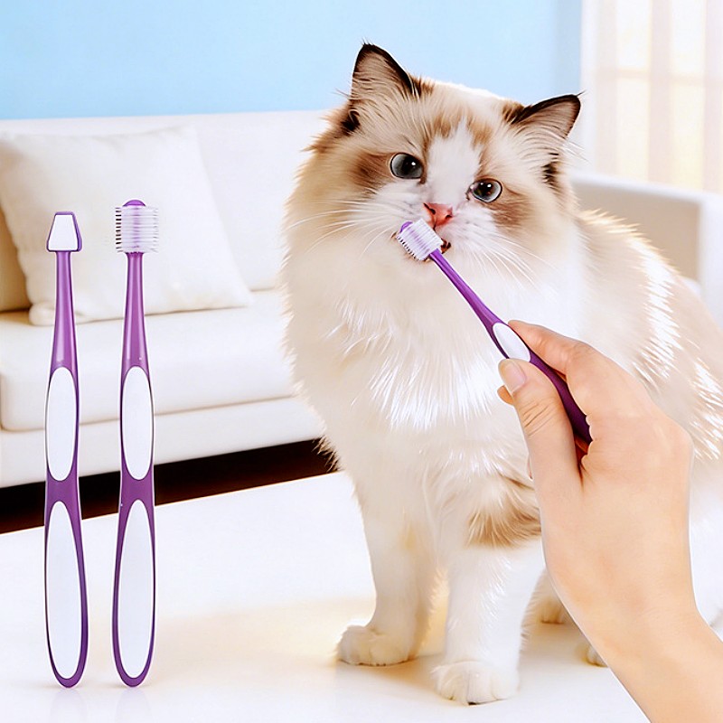 Köpek Diş Fırçası 360 Derece E - Teeth Whitening Brush incelemesi ve fiyatı
