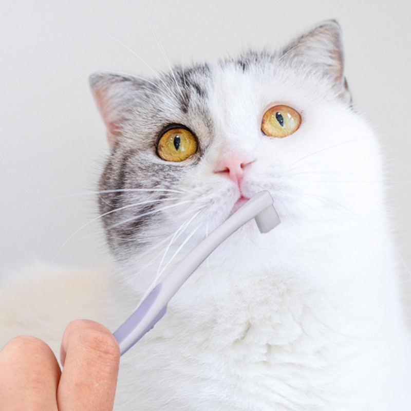 Köpek Diş Fırçası Köpek Diş Te - Teeth Whitening Brush incelemesi ve fiyatı