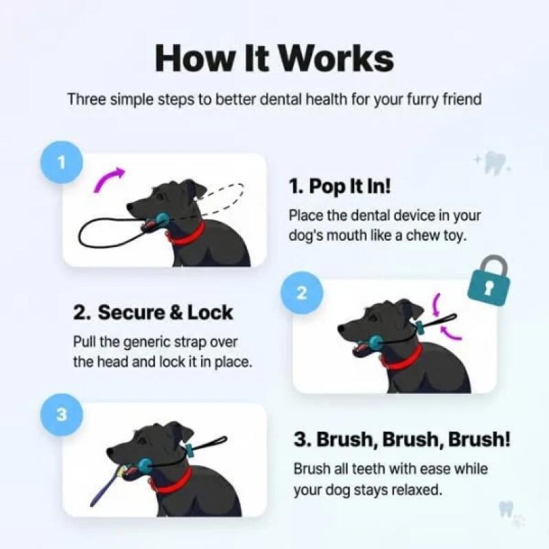 Çift Fonksiyonlu Evcil Hayvan  - Teeth Whitening Brush incelemesi ve fiyatı