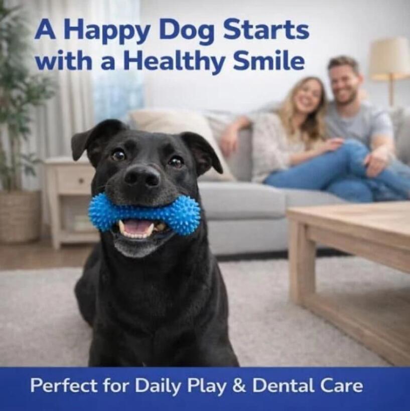 Çift Fonksiyonlu Evcil Hayvan  - Teeth Whitening Brush incelemesi ve fiyatı