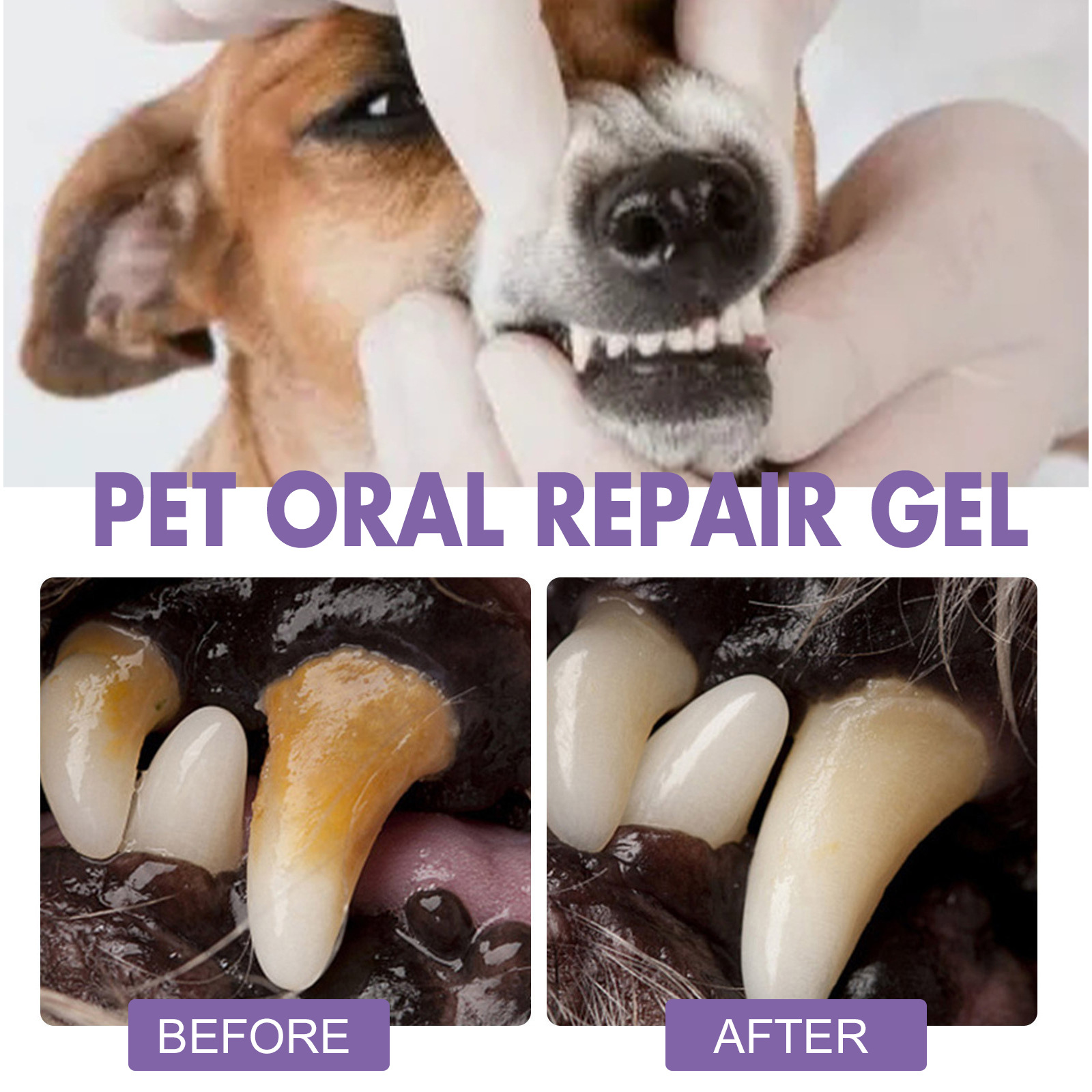 Pet Oral Onarım Jeli Yavru Tar - Teeth Whitening Paste incelemesi ve fiyatı