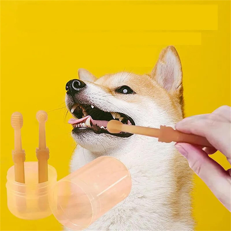 Diş Beyazlatma Köpek Kedi Sili - Teeth Whitening Toothpaste incelemesi ve fiyatı