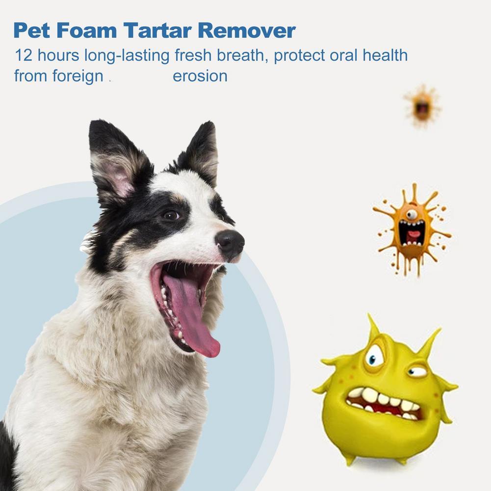 60ml Pet Oral Care Köpekler ve - Teeth Whitening Brush incelemesi ve fiyatı