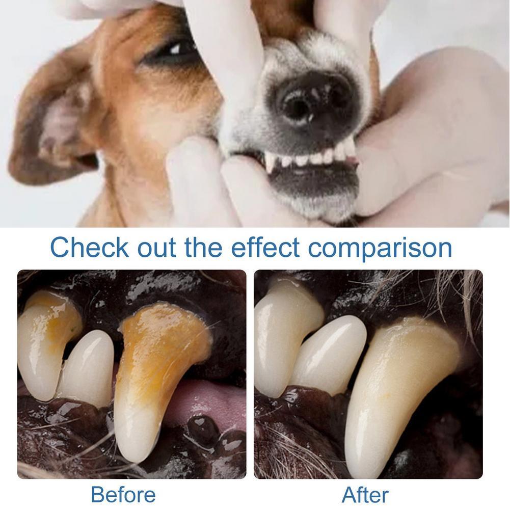 60ml Pet Oral Care Köpekler ve - Teeth Whitening Brush incelemesi ve fiyatı